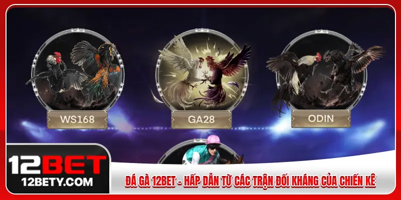 chơi đá gà 12BET