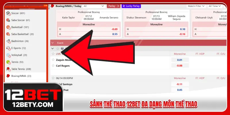 Sảnh thể thao 12BET đa dạng môn thể thao