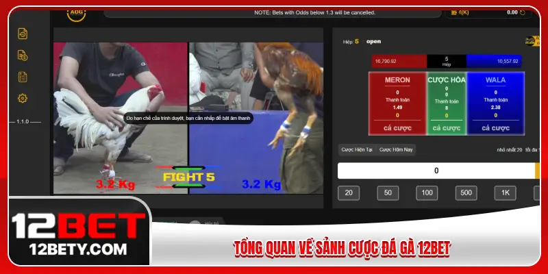 Tổng quan về sảnh cược đá gà 12BET